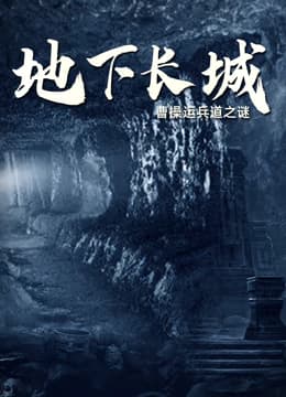 地下长城海报