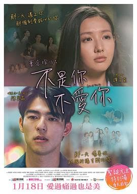 不是你不爱你粤语海报