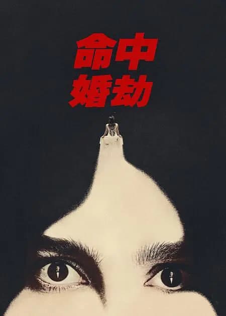 命中婚劫海报
