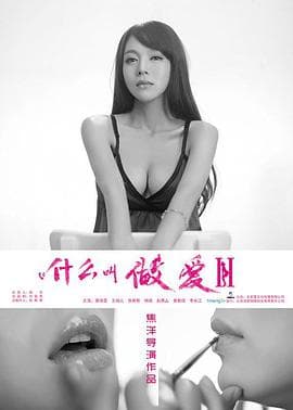 什么叫做爱2海报