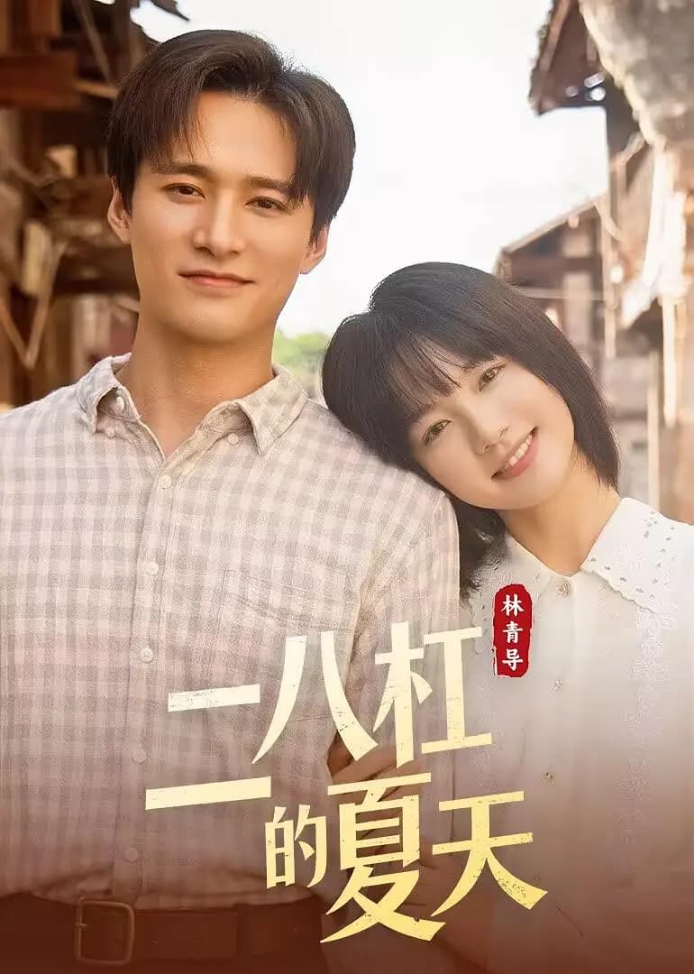 二八杠的夏天海报