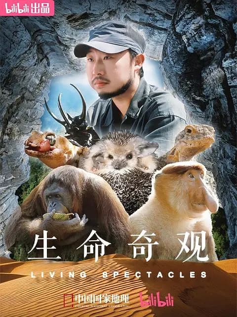 生命奇观海报