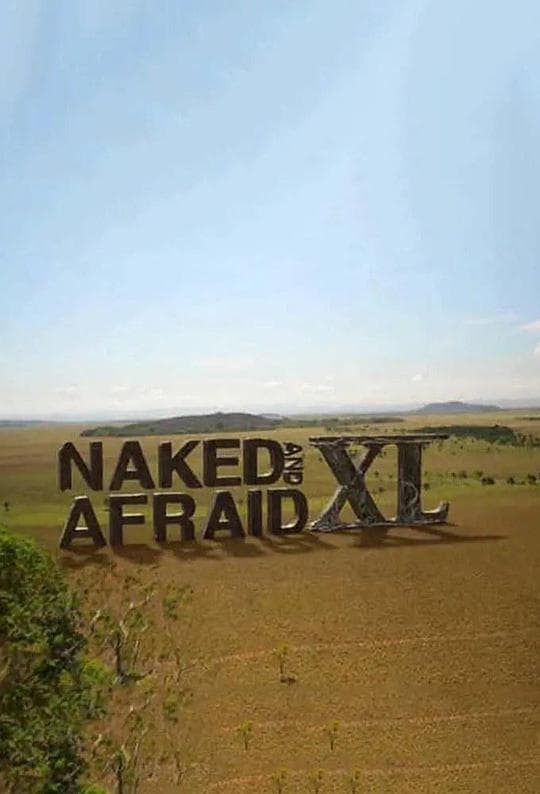 原始生活40天第三季海报
